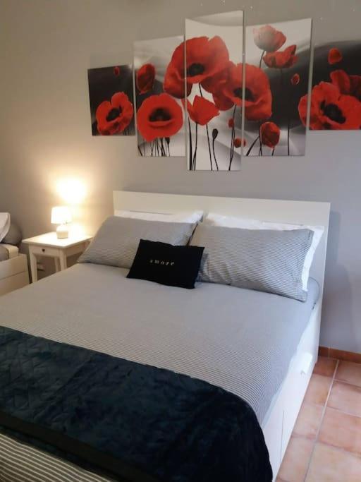 Casa Vacanza Sole Di Sicilia 巴勒莫 外观 照片